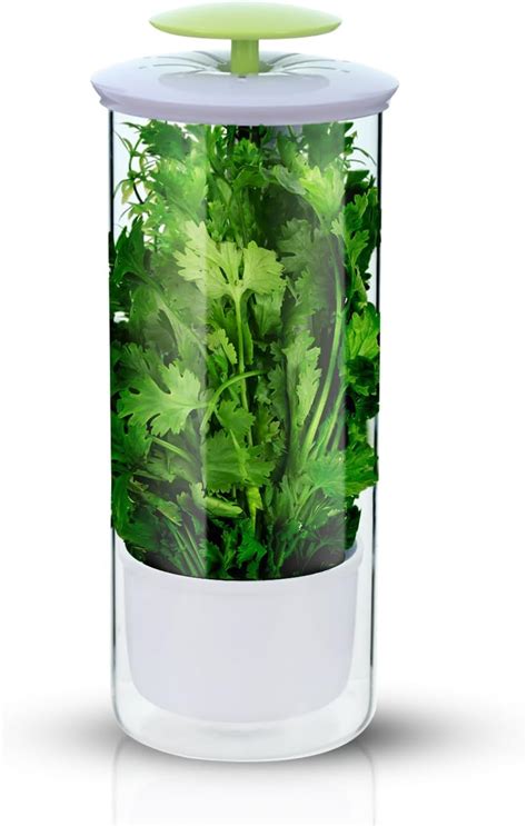 Fresh Herb Storage Container at Howard Vasquez blog