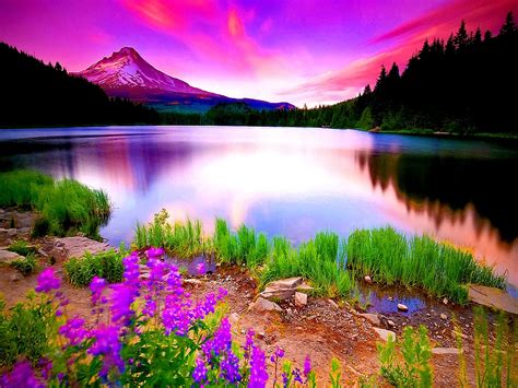 Explore The Nature: Natural Beauty