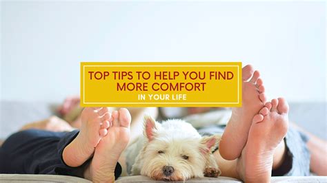 Top Tips To Help You Find More Comfort In Your Life | Nognog in the City