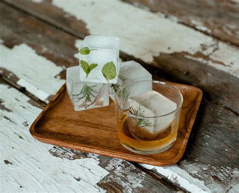 Keep fresh herbs vibrant longer for stunning, gourmet plates?