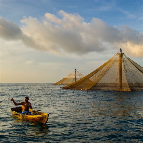 Sustainable Earth: Food - National Geographic