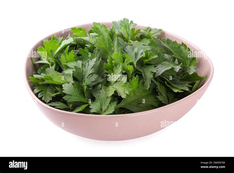 Fresh green parsley in bowl isolated on white Stock Photo - Alamy