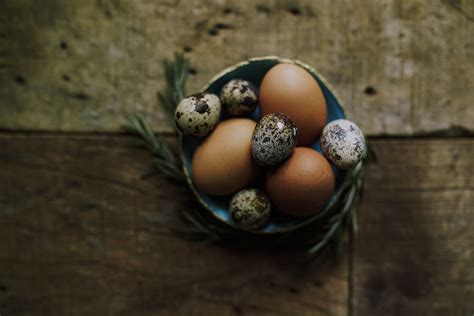 Natural Light Food photography on Behance