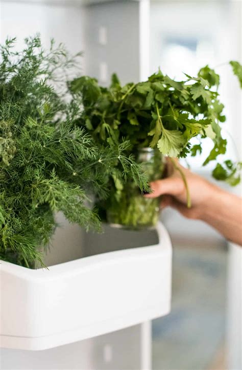 How to Store Fresh Herbs in the Refrigerator - Lexi's Clean Kitchen