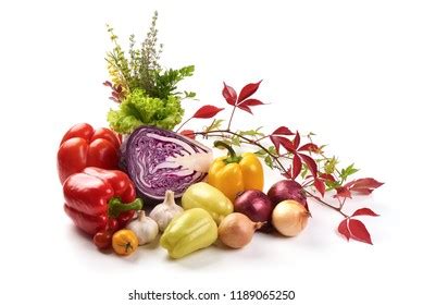 Set Different Fresh Raw Colorful Vegetables Stock Photo 1189065250 ...