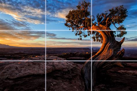 Cropping Photography Composition