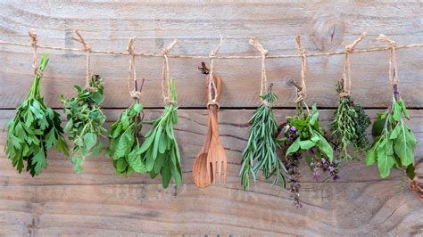 Herbs hanging to dry 2037693 Stock Photo at Vecteezy