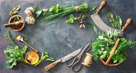 Various Fresh Herbs from Garden with Kitchen Utensils on Rustic Table ...