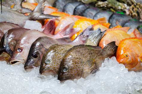 Fresh Fish On Counter Of A Seafood Restaurant Different Types Of ...
