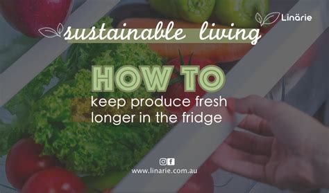 Optimize fridge layout to keep fresh produce crisp and visible for quick cooking?