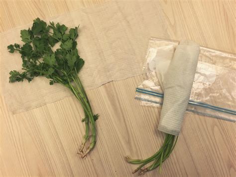 11 Genius Ways You Didn’t Know You Could Use Paper Towel