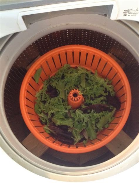 SOP for washing salad greens | UVM Produce Safety Portal