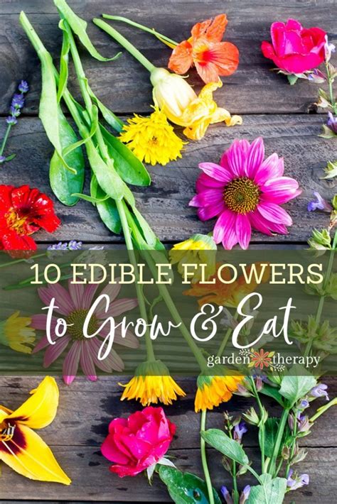 The Ten Best Edible Flowers to Grow in Your Garden