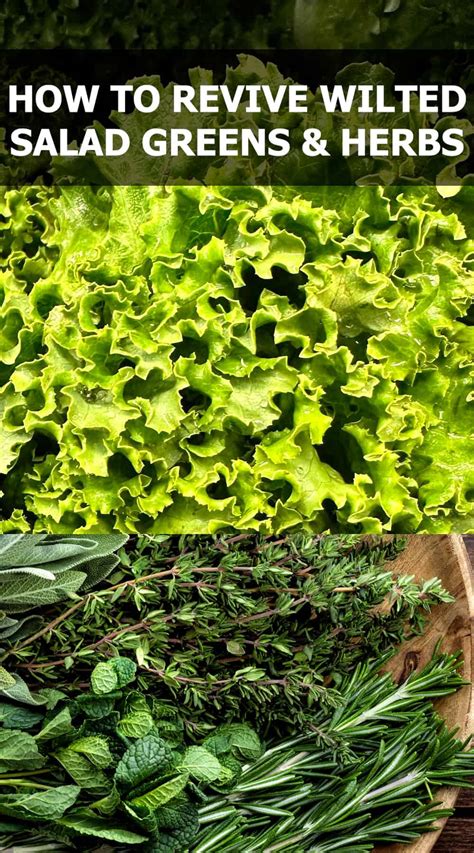 How to Revive Wilted Salad Greens and Herbs - Culinary Ginger