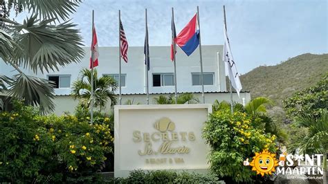 Secrets to perfectly chopped aromatics for pro-level dish aesthetics?