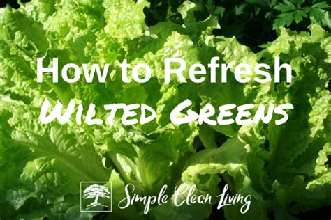 How to Refresh Wilted Greens - Simple Clean Living