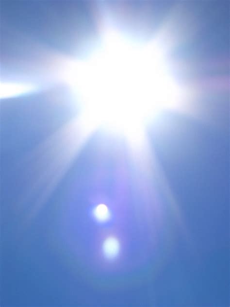 Opiniones de bright