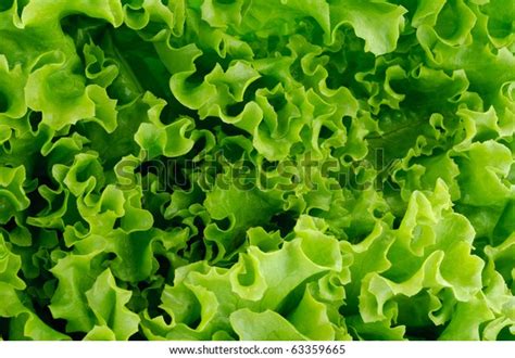 Salad Texture Stock Photo (Edit Now) 63359665