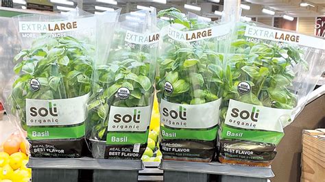 Seven Ways To Sell More Fresh Herbs - Produce Business