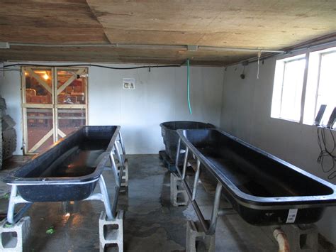 Procedure for Washing Raw-eaten Leafy Greens | UVM Produce Safety Portal