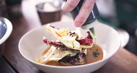 Food Plating Techniques 101: Fundamentals of Plating