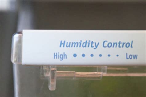 How Can I Keep Vegetables Fresh Without a Crisper Drawer? | The Kitchn