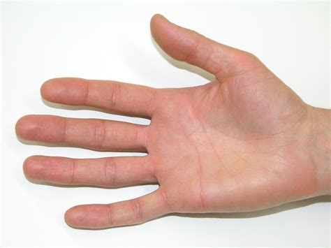 Hand Free Photo Download | FreeImages