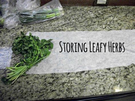 Storing Leafy Herbs - Before 3 pm