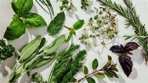 14 Types of Fresh Herbs and How to Cook With Them | Epicurious