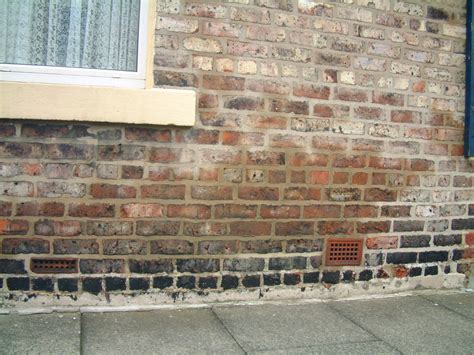 Penetrating Damp | Damp &amp; Timberguard