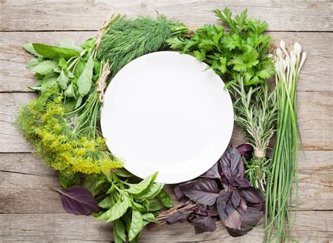 How do real foodies keep fresh herbs vibrant for stunning plate presentations?