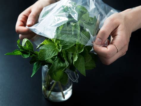 Secret for keeping fresh herbs vibrant & flavorful longer?