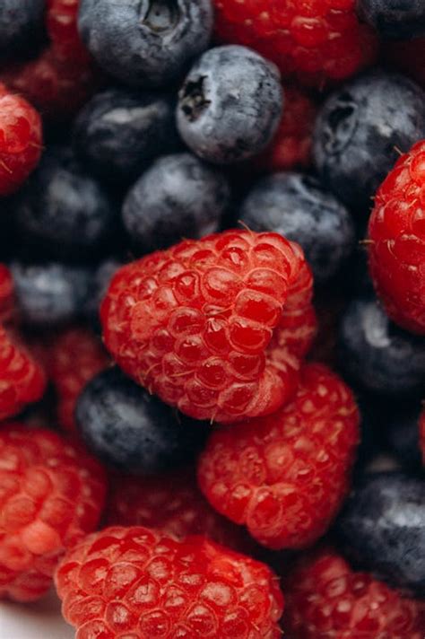 Berries in Close-up Shot · Free Stock Photo