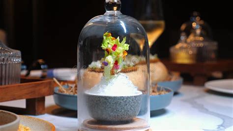 Artfully Plated Gourmet Dish Served Under Stock Image - Image of ...