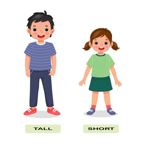 Opposite adjective antonym English words short tall illustration for ...