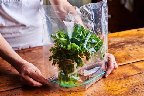 We Tried 5 Methods for Storing Herbs and Found a Clear Winner | The Kitchn