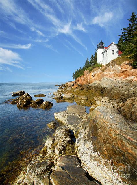 Bass Harbor Lighthouse I Photograph by Karen Jorstad - Fine Art America