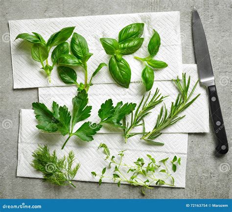 Various fresh herbs stock photo. Image of condiment, gray - 72163754