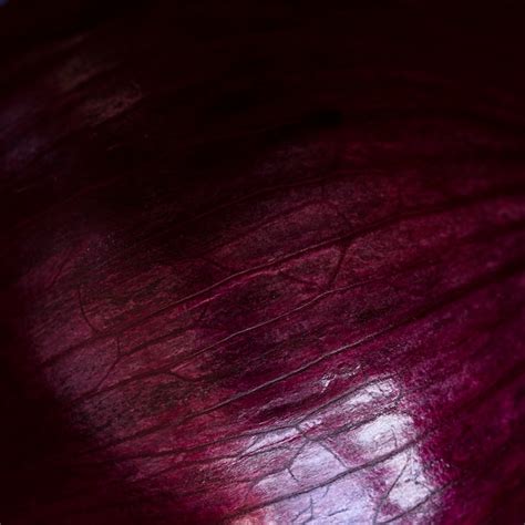 Free Photo | Delicious food texture composition close-up