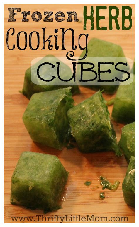 Frozen Herb Cooking Cubes » Thrifty Little Mom