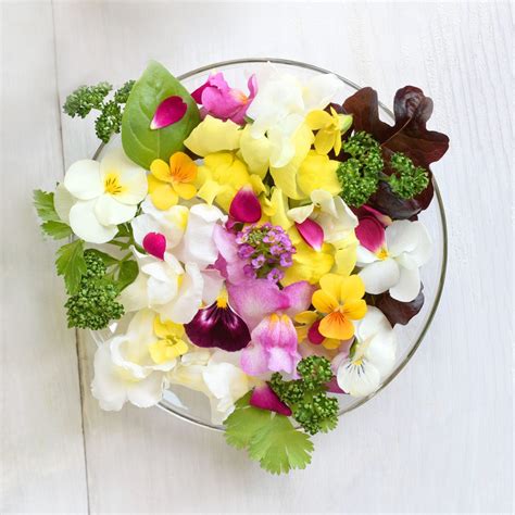 12 Edible Flowers To Elevate All Your Meals and Drinks