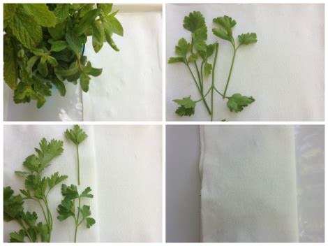 Preserve Your Herbs | fitsme