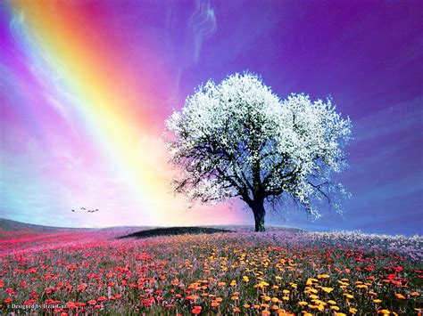 Bright Color Quotes. QuotesGram