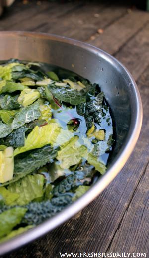 Crisp Your Salad Greens – Fresh Bites Daily