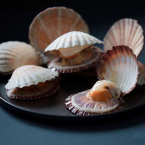 Buy Fresh Mussels, Scallops & Clams Online - Clams Seafood Delivery ...