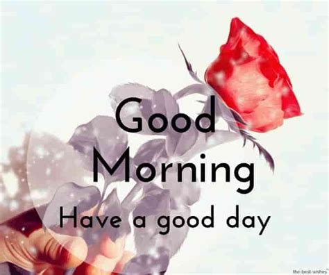 150+ Beautiful Good Morning Images [ Best Collection ]