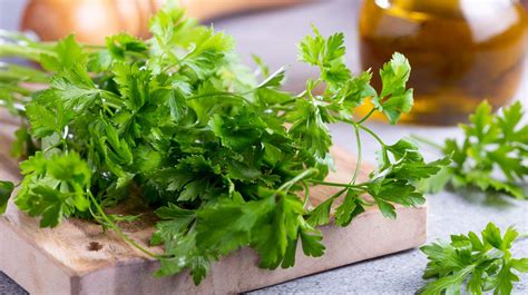 Is Parsley Dangerous For Dogs