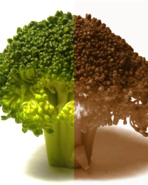 Food Science: Why Blanched Vegetables (Sometimes) Turn Brown | The Kitchn