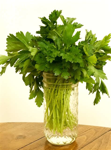 How to Make Fresh Herbs Last Longer | POPSUGAR Food