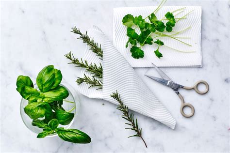 Paper Towel Cleaning Hacks The BHG Team Swears By | Better Homes and ...